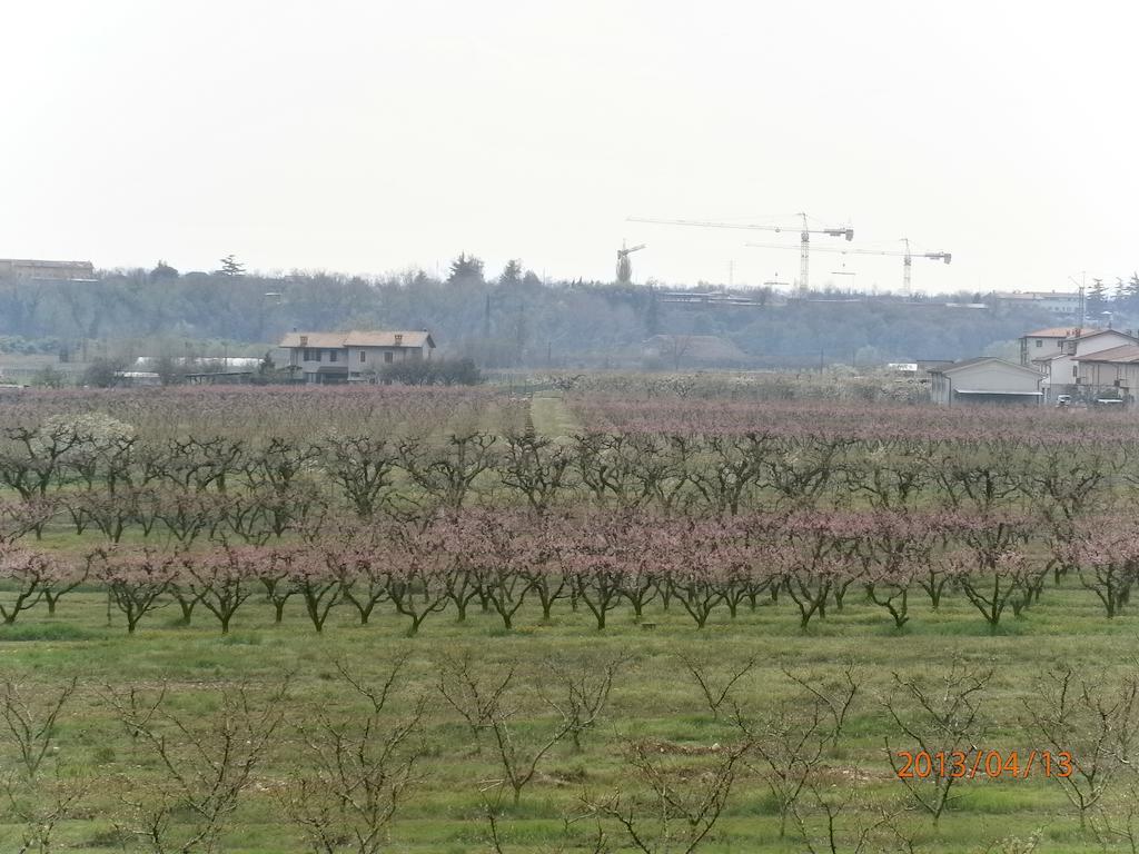 פסקנטינה B&B Gigetto מראה חיצוני תמונה
